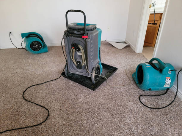 Best Sewage cleanup and water damage restoration  in San Mateo, CA