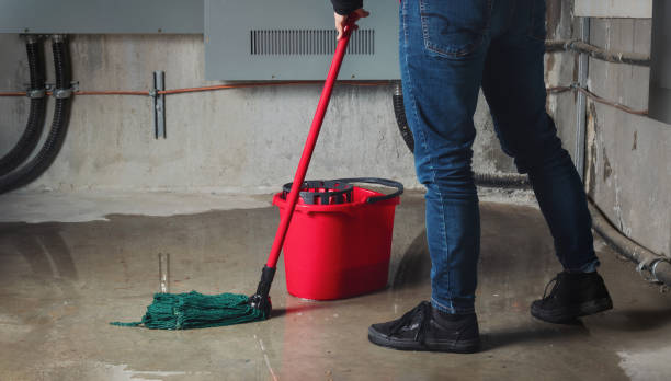Best Professional water damage repair  in San Mateo, CA