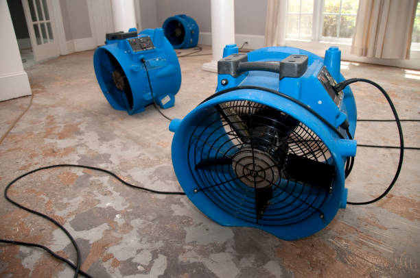 Best Water damage mitigation services  in San Mateo, CA