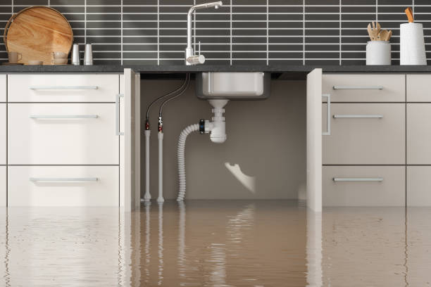 Best Residential water damage restoration  in San Mateo, CA